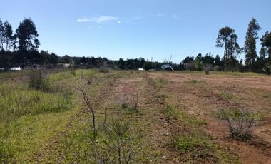VENDO HERMOSA  PARCELA DE 5000MTS  CAMINO A PORTEZUELO CON AGUA POTABLE Y ACCESO PRIVADO