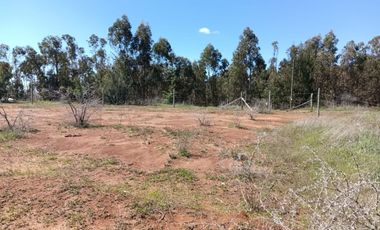 VENDO HERMOSA  PARCELA DE 5000MTS  CAMINO A PORTEZUELO CON AGUA POTABLE Y ACCESO PRIVADO