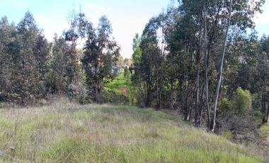 VENDO HERMOSA  PARCELA DE 5000MTS  CAMINO A PORTEZUELO CON AGUA POTABLE Y ACCESO PRIVADO