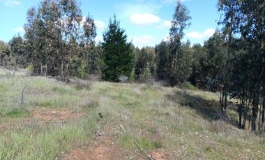 VENDO HERMOSA  PARCELA DE 5000MTS  CAMINO A PORTEZUELO CON AGUA POTABLE Y ACCESO PRIVADO