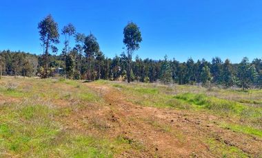 VENDO HERMOSA  PARCELA DE 5000MTS  CAMINO A PORTEZUELO CON AGUA POTABLE Y ACCESO PRIVADO