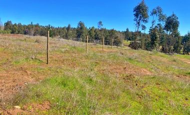 VENDO HERMOSA  PARCELA DE 5000MTS  CAMINO A PORTEZUELO CON AGUA POTABLE Y ACCESO PRIVADO