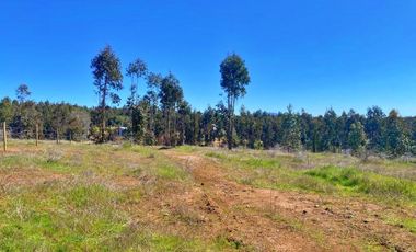 VENDO HERMOSA  PARCELA DE 5000MTS  CAMINO A PORTEZUELO CON AGUA POTABLE Y ACCESO PRIVADO