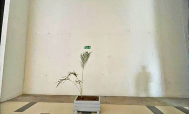 VENTA LOCAL COMERCIAL EN PEÑALISA  MALL RICAURTE, CUNDINAMARCA, COLOMBIA 2A