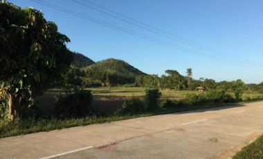 Attention Investors and Agricultural Enthusiasts!  A prime 151-hectare agricultural farmland is now for sale in Brgy. Sto. Nino, Busuanga, Palawan, Philippines.