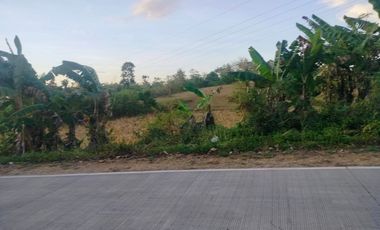 Lot for sale 16,000 sqm tax declaration and ready for title DAGNAWAN INABANGA BOHOL 2M only