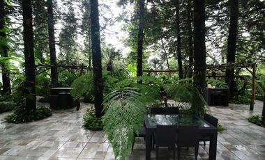 La Bella Tagaytay studio type unit with balcony, Midrise,  a Cozy place with trees within the premises