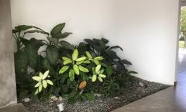 La Bella Tagaytay studio type unit with balcony, Midrise,  a Cozy place with trees within the premises