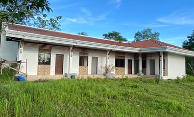 2BR House & 6BR Apartment for Sale located in Bil-isan, Panglao Island, Bohol near Cristal-E College
