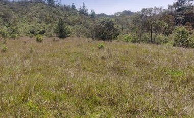 Venta Finca Agrícola y Ganadera Concepción Antioquia