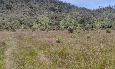 Venta Finca Agrícola y Ganadera Concepción Antioquia