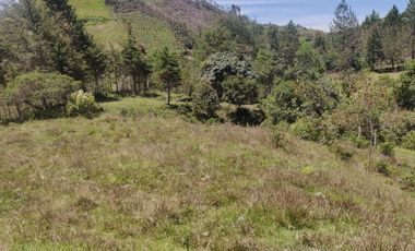 Venta Finca Agrícola y Ganadera Concepción Antioquia