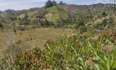 Venta Finca Agrícola y Ganadera Concepción Antioquia