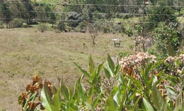 Venta Finca Agrícola y Ganadera Concepción Antioquia