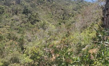 Venta Finca Agrícola y Ganadera Concepción Antioquia