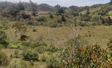 Venta Finca Agrícola y Ganadera Concepción Antioquia
