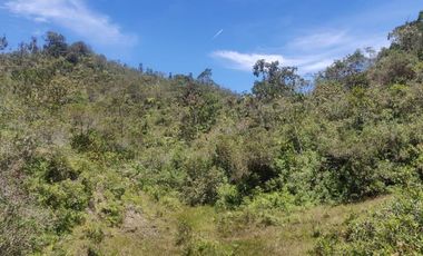 Venta Finca Agrícola y Ganadera Concepción Antioquia