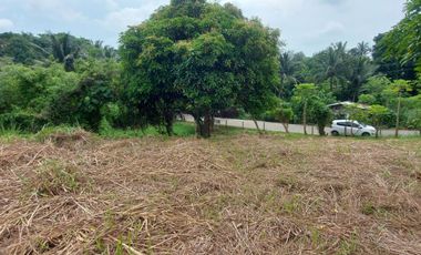 FOR SALE! 6,204 sqm Vacant Lot at Tolentino West, Tagaytay Cavite