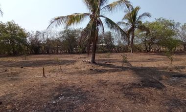 EXcelente y amplio lotes de terreno