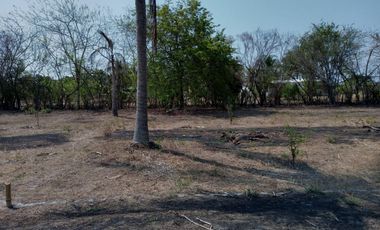 EXcelente y amplio lotes de terreno