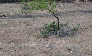EXcelente y amplio lotes de terreno