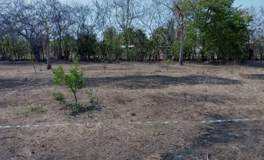 EXcelente y amplio lotes de terreno