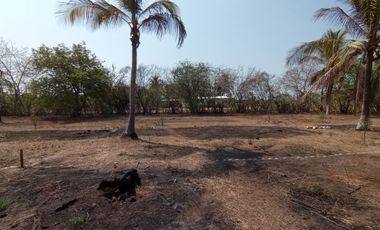 EXcelente y amplio lotes de terreno