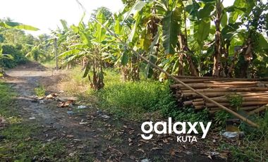 DISEWAKAN TANAH BYPASS IDA BAGUS MANTRA KETEWEL SUKAWATI GIANYAR, BALI