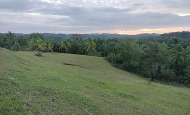 Are you looking for an opportunity to own a piece of paradise in the Philippines? Look no further than this beautiful 10,000 SQM portion of a titled 2.2-hectare lot located in the charming barangay of Progreso Este, Odiongan, Romblon, Philippines