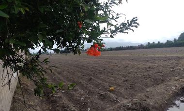 Hermoso terreno de 5000 Metros cuadrados en Huaral