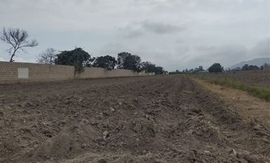 Hermoso terreno de 5000 Metros cuadrados en Huaral