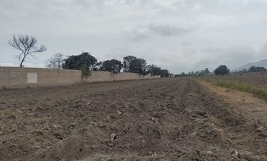 Hermoso terreno de 5000 Metros cuadrados en Huaral
