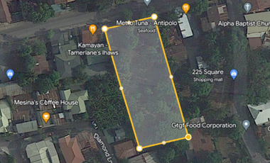 COMMERCIAL LOT FOR SALE IN ANTIPOLO CITY