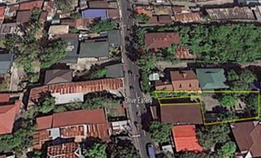 Industrial Lot for Sale in Malolos, Bulacan