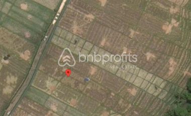 Unveil Tranquility: Expansive Land in Kedungu, Bali – Your Oasis of Possibilities!