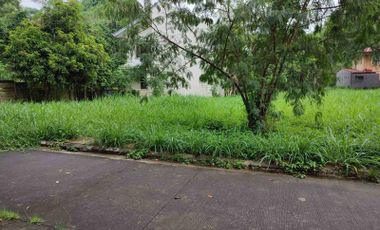 Residential Lot for Sale at Greenwoods Subdivision, Dasmarinas,  Cavite