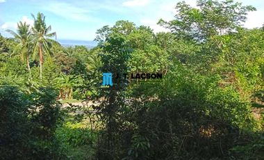 Overlooking Lot for Sale in Apolong, Valencia, Negros Oriental
