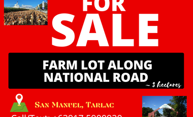Agricultural Land Along National Road San Manuel Tarlac ~ almost 3 hectares in area
