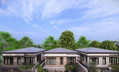 Cheap House for Sale in Parañaque City BF Homes Presidents Heights