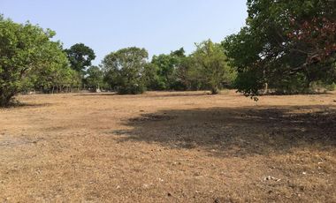 350/sqm 21 Hectares Agricultural Farm For Sale in Sta Cruz, Zambales