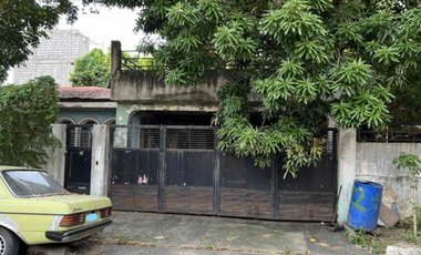480 sqm Lot with Delapidated House for Sale  in Better Living Subd, Parañaque City