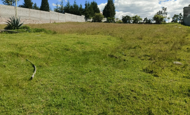 TERRENO EN VENTA, ALANGASÍ