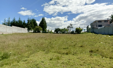 TERRENO EN VENTA, ALANGASÍ