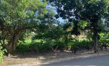 FOR SALE Marina Baytown East, Paranaque Vacant lot 700 sqm Near Macapagal, MOA High End, Well Secured Village  199.5M net of taxes