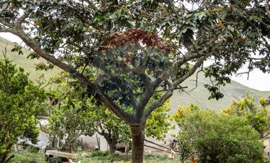 CASA DE CAMPO CON TERRENO SECTOR SOCAPAMBA