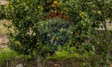 CASA DE CAMPO CON TERRENO SECTOR SOCAPAMBA