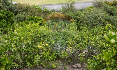 CASA DE CAMPO CON TERRENO SECTOR SOCAPAMBA