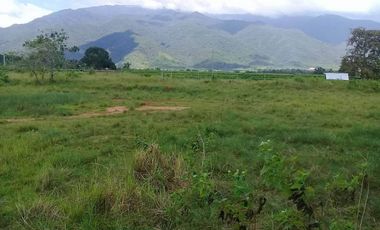 AFFORDABLE RAW LOTS IN NARRA PALAWAN NEAR PUERTO PRINCESA CITY!