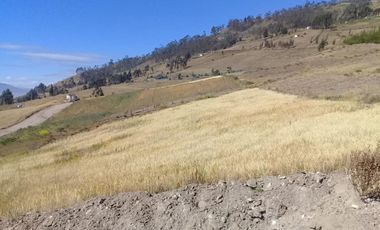 TERRENO EN SAMANGA