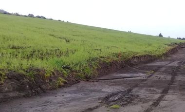 TERRENO EN SAMANGA